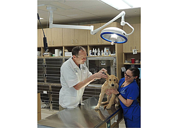 Fort Lauderdale Veterinary Clinics Seiler Animal Hospital