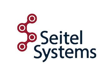 Seitel Systems, Inc. Tacoma It Services