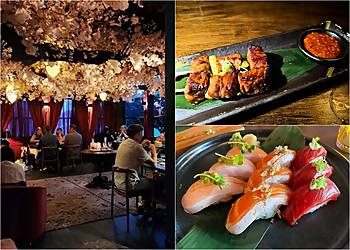 Orlando Sushi Seito Sushi Sand Lake