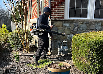 Alexandria Pest Control Companies Senate Termite and Pest Control