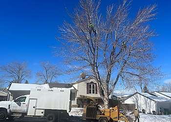 Westminster Tree Services Senn's Tree Service