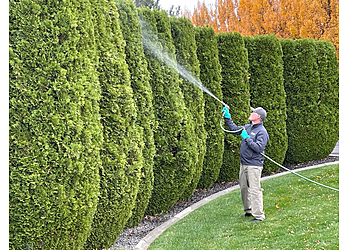 Aurora Lawn Care Services Senske Services