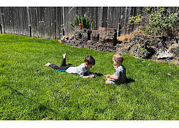 Seattle Lawn Care Services Senske Services