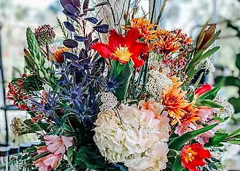 Sequoia Plaza Flowers Sequoia Plaza Flowers - Visalia, CA Florists - Bouquet Image