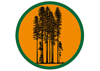 Oakland tree service Sequoia Tree Service LLC.