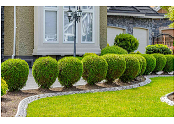 Serene Gardens LLC - Glendale, CA Lawn Care Services - Project Completion Image