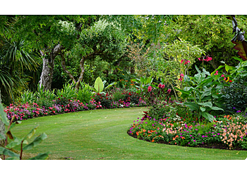 Serene Gardens LLC - Glendale, CA Lawn Care Services - Job Site Image