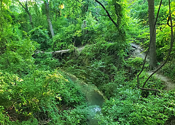Serenity Park - McKinney, TX Hiking Trails - Trail Image