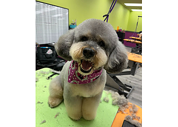 Madison Pet Grooming Serenity Pet Spa West