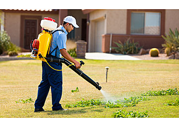 Sergio & Sons Landscape - Scottsdale, AZ Lawn Care Services - Service Image