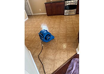 Plano Carpet Cleaners Seven Star Carpet,tile and Upholstery Cleaning Services
