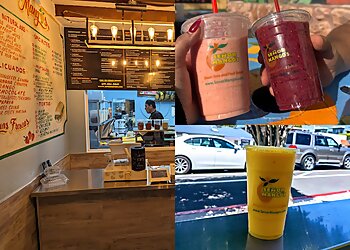 San Diego Juice Bars Señor Mango's