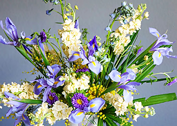 Shaa.Project - Lakewood, CO Florists - Bouquet Image