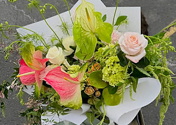 Shaa.Project Shaa.Project - Lakewood, CO Florists - Flower Image