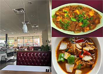 Shaad Deshi Cuisine - Warren, MI Indian Restaurants - collage image(highlights)