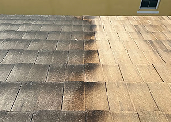 Shack Shine Tampa Gutter Cleaners Shack Shine