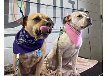 St Louis Pet Grooming Shakers Dog Wash and Grooming