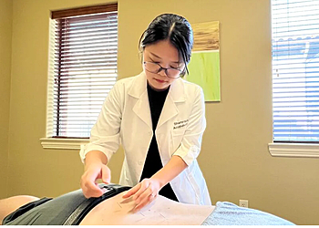 Round Rock Acupuncture Shamrock Acupuncture Round Rock