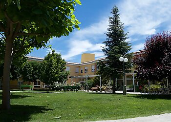 Vallejo Lawn Care Services Shamrock Landscape Co