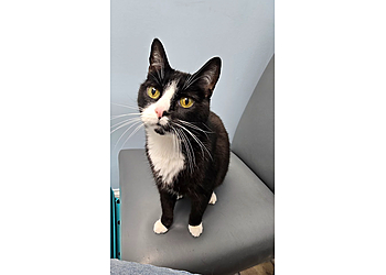 Columbia Veterinary Clinics Shandon-Wood Animal Clinic