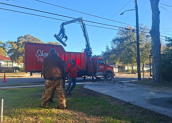 Jacksonville Tree Services Shaw's Tree Service