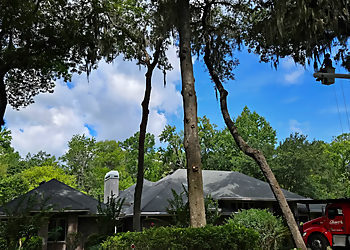 Shaw's Tree Service Jacksonville Tree Services Shaw's Tree Service