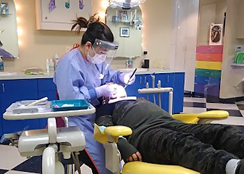 Portland Kids Dentists Sheena Kalia Kansal, DDS - HOLLYWOOD CHILDREN'S DENTISTRY