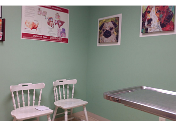 3 Best Veterinary Clinics in Greensboro, NC - Expert Recommendations