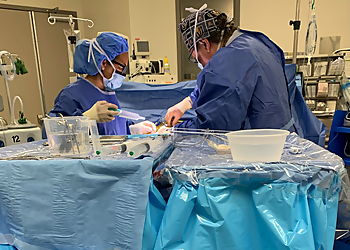 Las Vegas Urologists Sheldon J. Freedman, MD - FREEDMAN UROLOGY