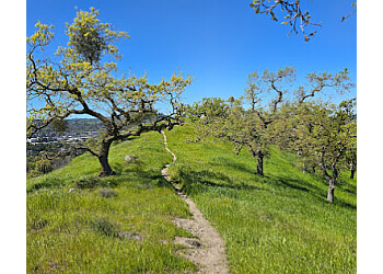 3 Best Hiking Trails In Walnut Creek, Ca - Expert Recommendations