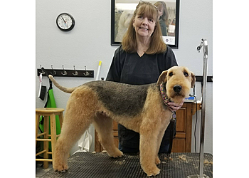 Tempe Pet Grooming Shelly's Pet Grooming