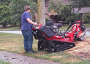 Greensboro Tree Services Shelton Tree Service