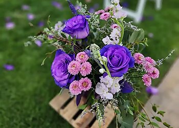 Amarillo Florists Shelton's Flowers & Gifts