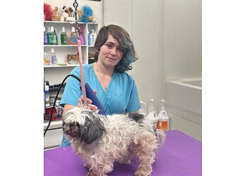 Tulsa Veterinary Clinics Sheridan Road Veterinary Clinic