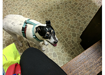 Sherwood Animal Clinic - Beaumont, TX Veterinary Clinics - Service Highlights