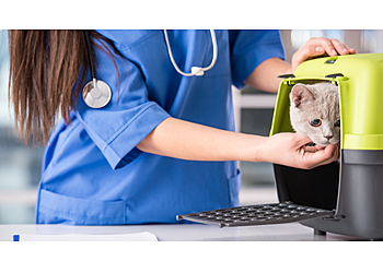 Sherwood Animal Clinic - Beaumont, TX Veterinary Clinics - Medical Procedure Image