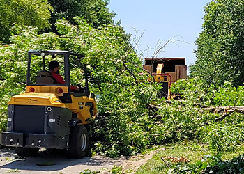 Independence Tree Services Shier's Family Tree Care Service, LLC