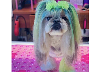 Fontana Pet Grooming Shiny Paws & Claws