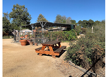 3 Best Hiking Trails in Huntington Beach, CA - Expert Recommendations