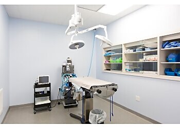 New Haven Veterinary Clinics Shore Haven Veterinary Hospital