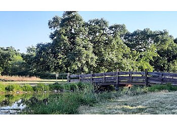 Stockton Hiking Trails Shumway Oak Grove Regional Park