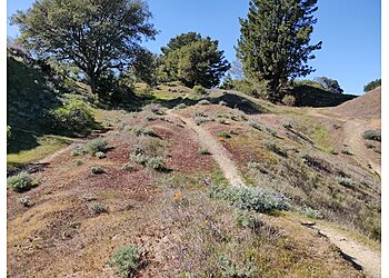 Oakland Hiking Trails Sibley Volcanic Regional Preserve