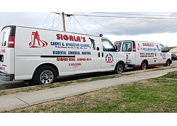 Sigala's Carpet & Restoration Fremont Carpet Cleaners image 1