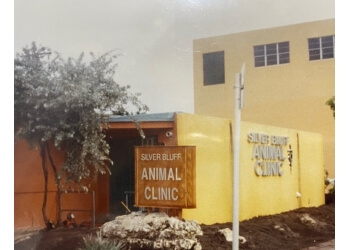 Silver Bluff Animal Clinic Miami Veterinary Clinics
