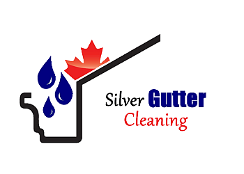 Charlotte Gutter Cleaning: #1 Gutter Cleaning Service in Charlotte, NC