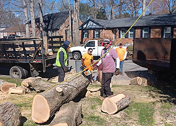 Hampton Tree Services Simmons Tree Care