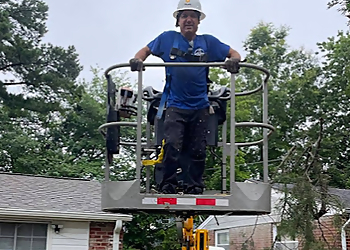 Hampton Tree Services Simmons Tree Care