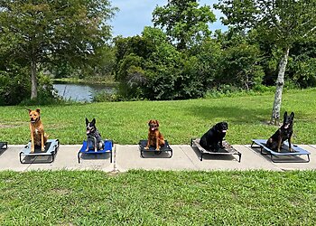 Jacksonville Dog Training Sit Happens Dog Training