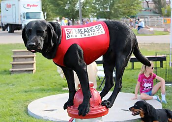 Albuquerque Dog Training Sit Means Sit Dog Training