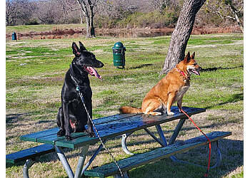Sit Means Sit Dog Training - Dallas, TX Dog Training - Service Image